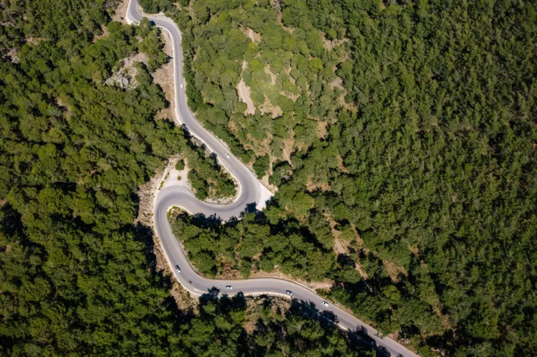 Luchtfoto van een bochtige weg door een dicht groen bos