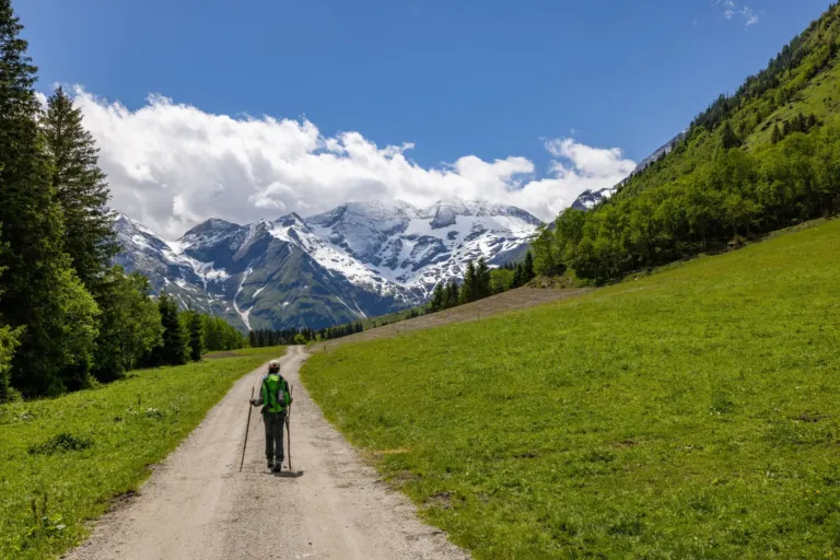Wandelaar met wandelstokken op een onverhard pad tussen groene weiden en besneeuwde bergen
